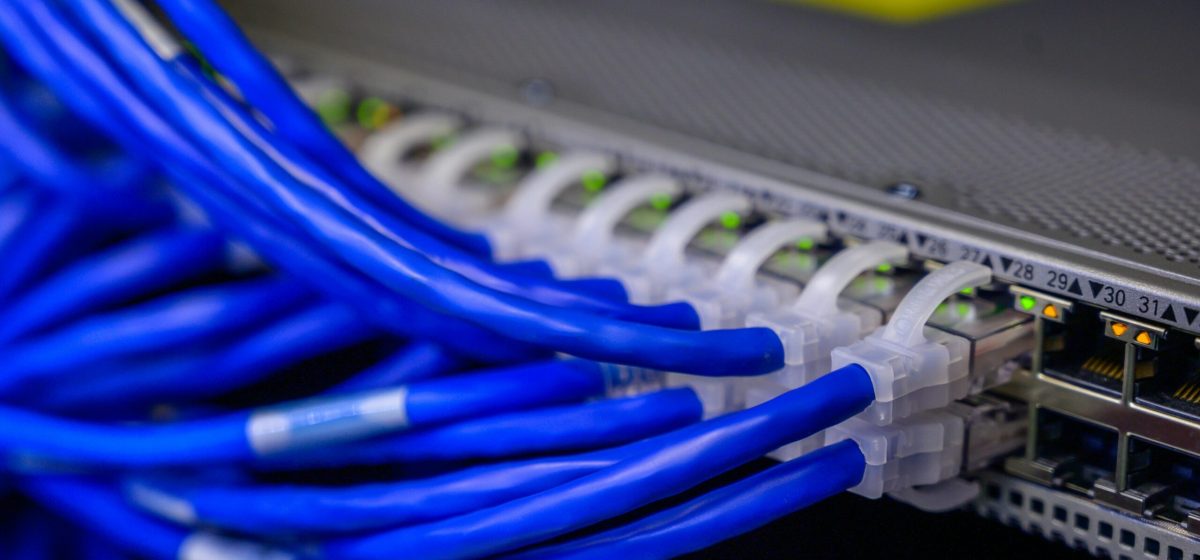 Detailed view of blue ethernet cables connected to a network switch in a data center.